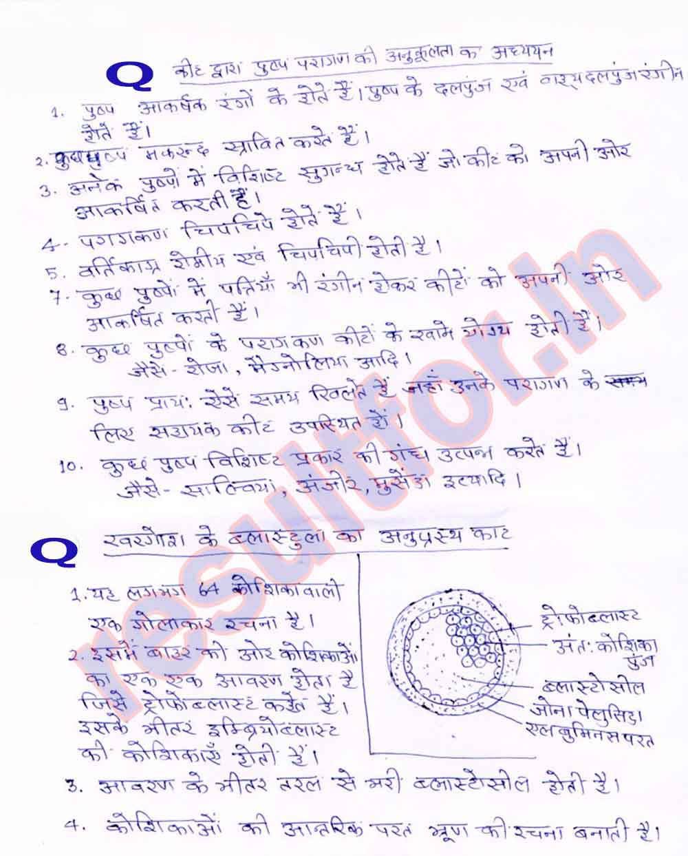 bihar-board-12th-biology-practical-exam-question